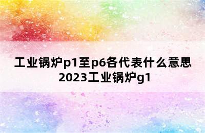 工业锅炉p1至p6各代表什么意思 2023工业锅炉g1